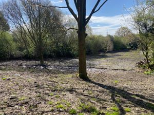 Photo 15- click for photo gallery